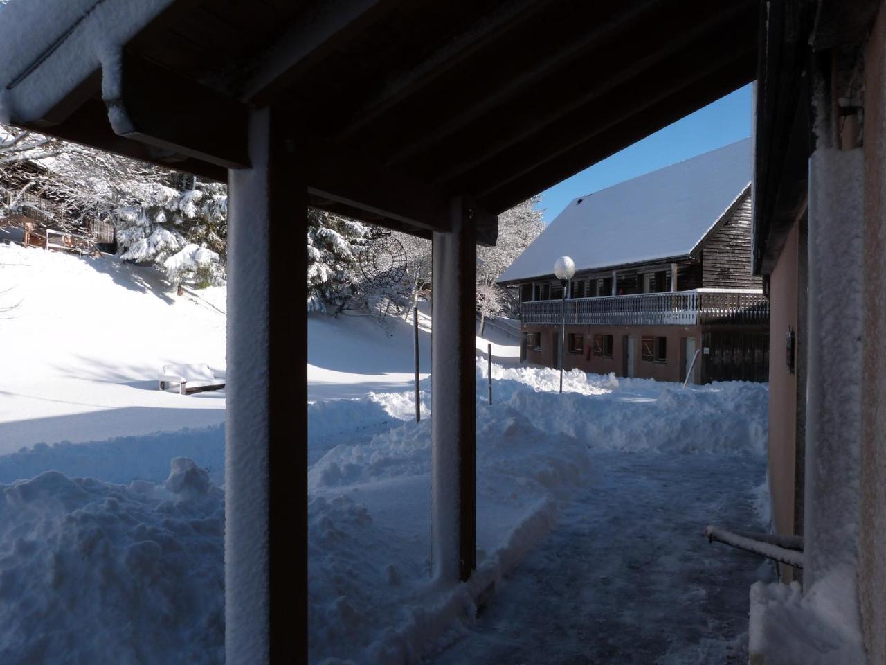 Residence Le Bois De La Reine Super Besse Eksteriør bilde