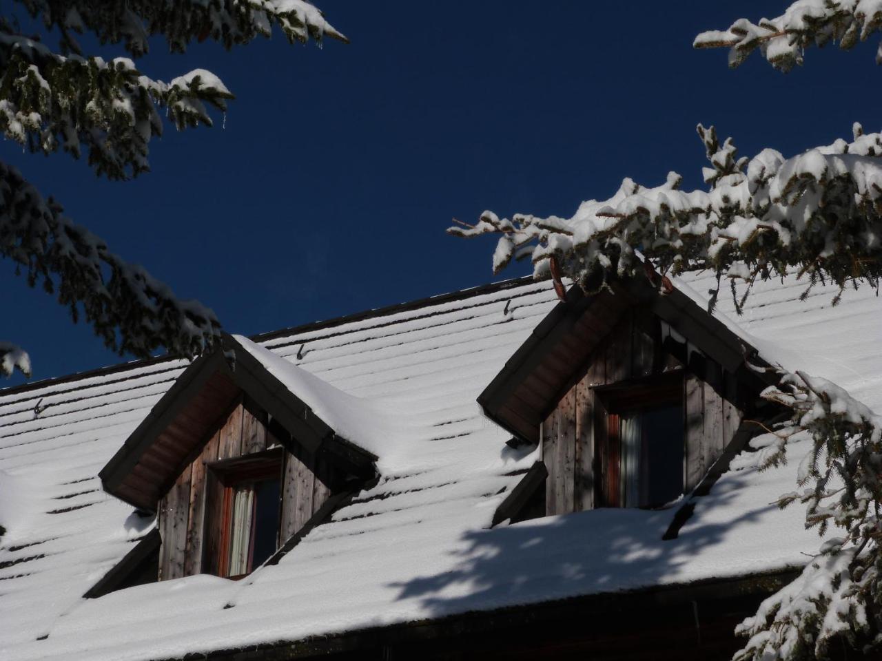 Residence Le Bois De La Reine Super Besse Eksteriør bilde