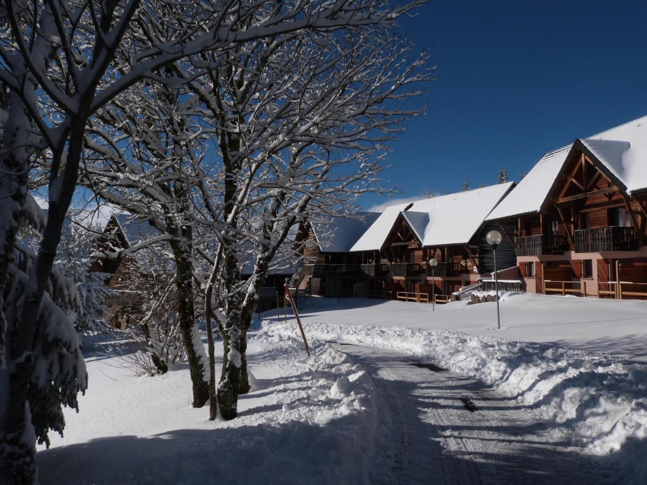 Residence Le Bois De La Reine Super Besse Eksteriør bilde